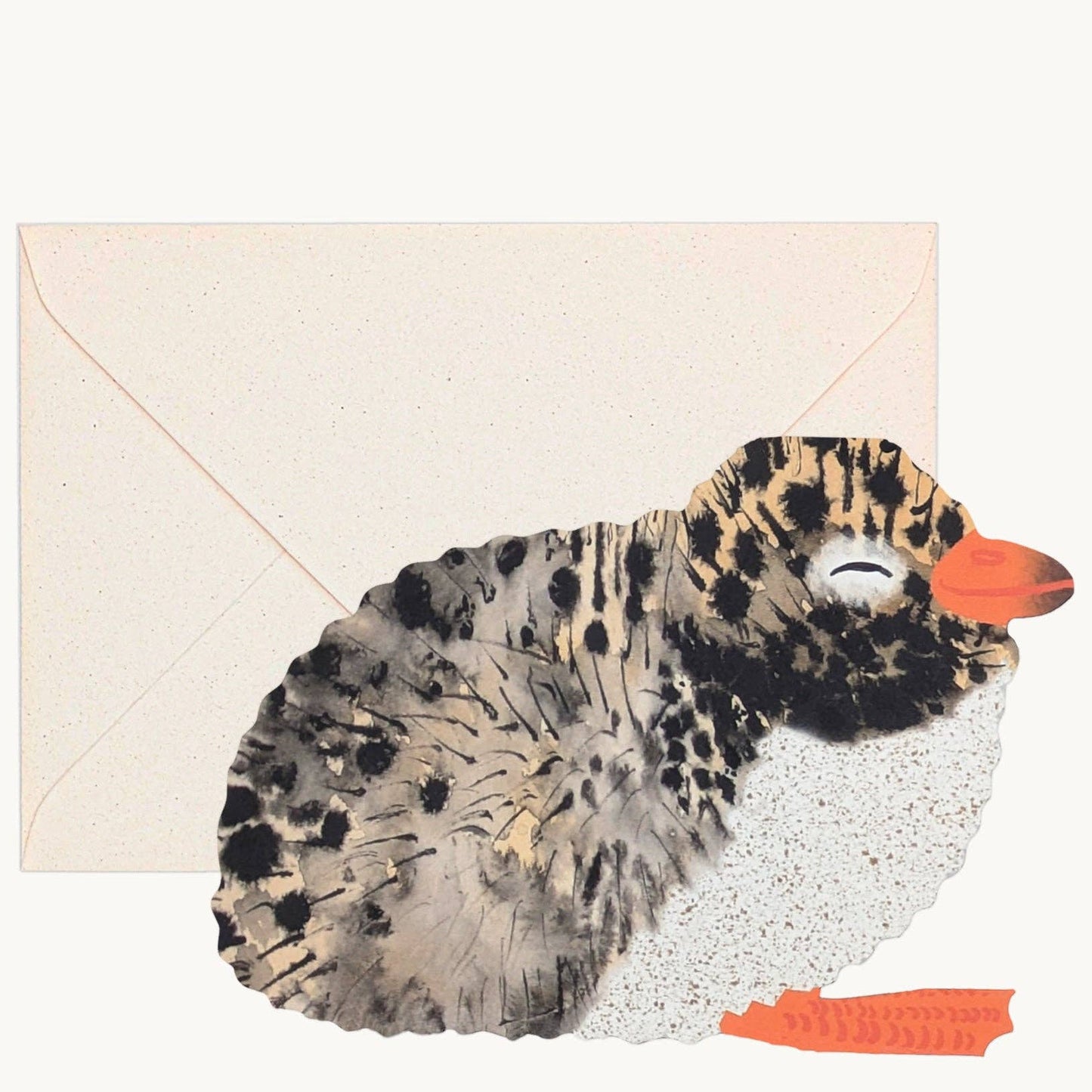 Arctic Tern Chick Card