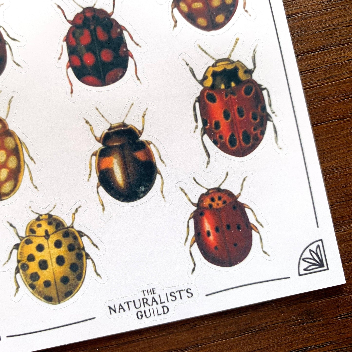 Vintage Ladybirds Sticker Sheet