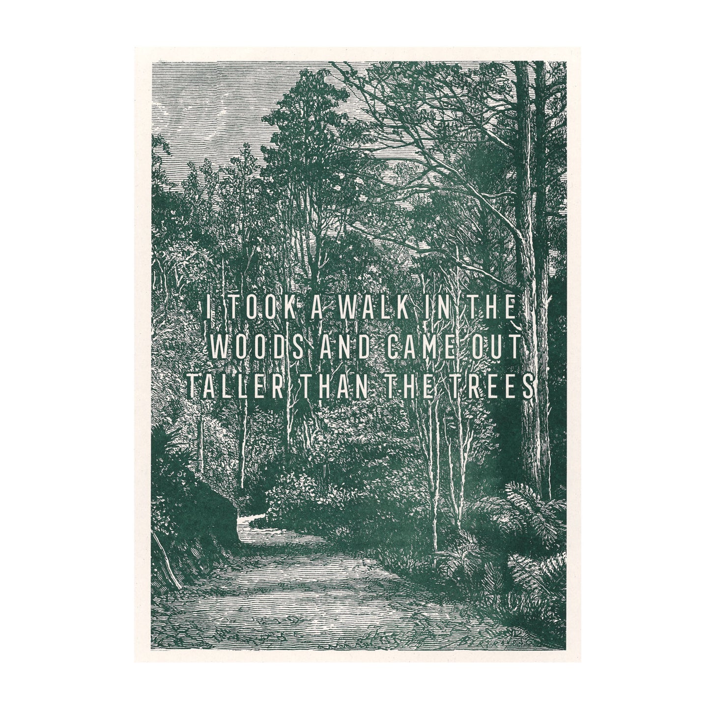Walk in the Wood Risograph Print. A3.