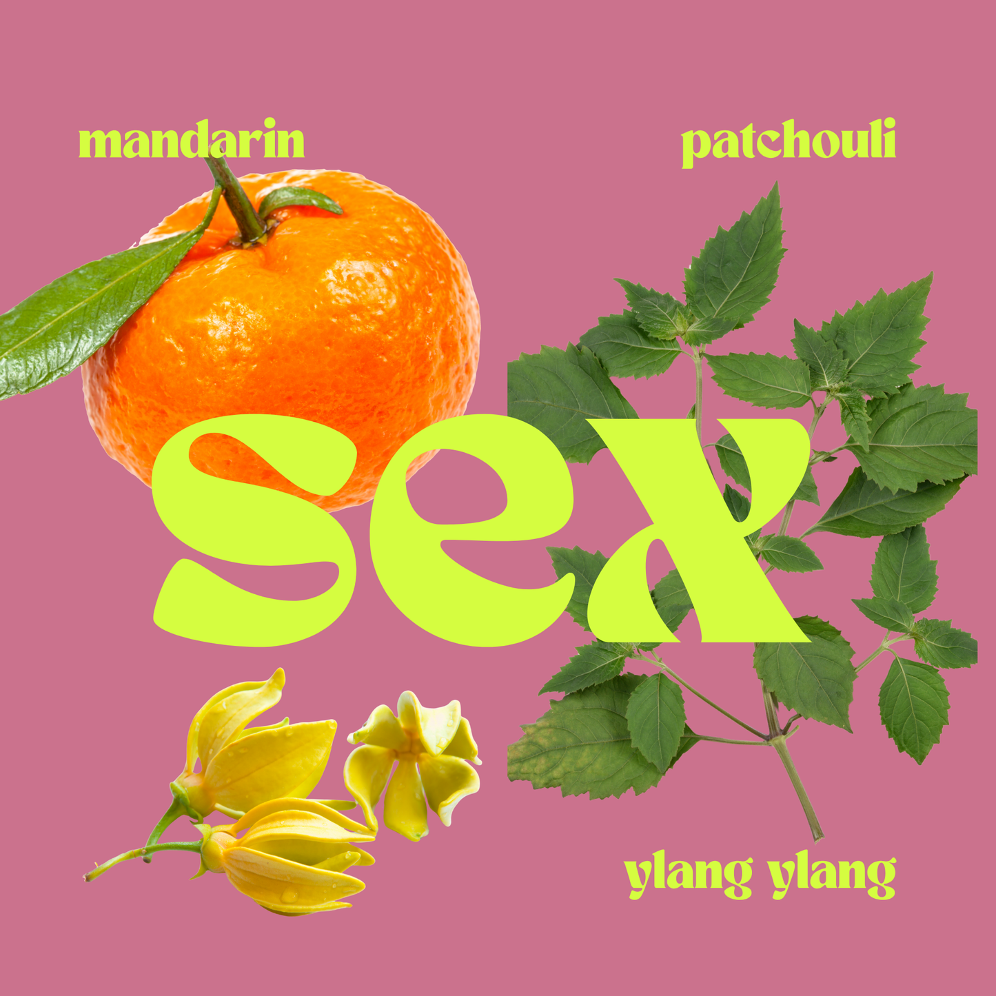 SEX: The Seductive Candle