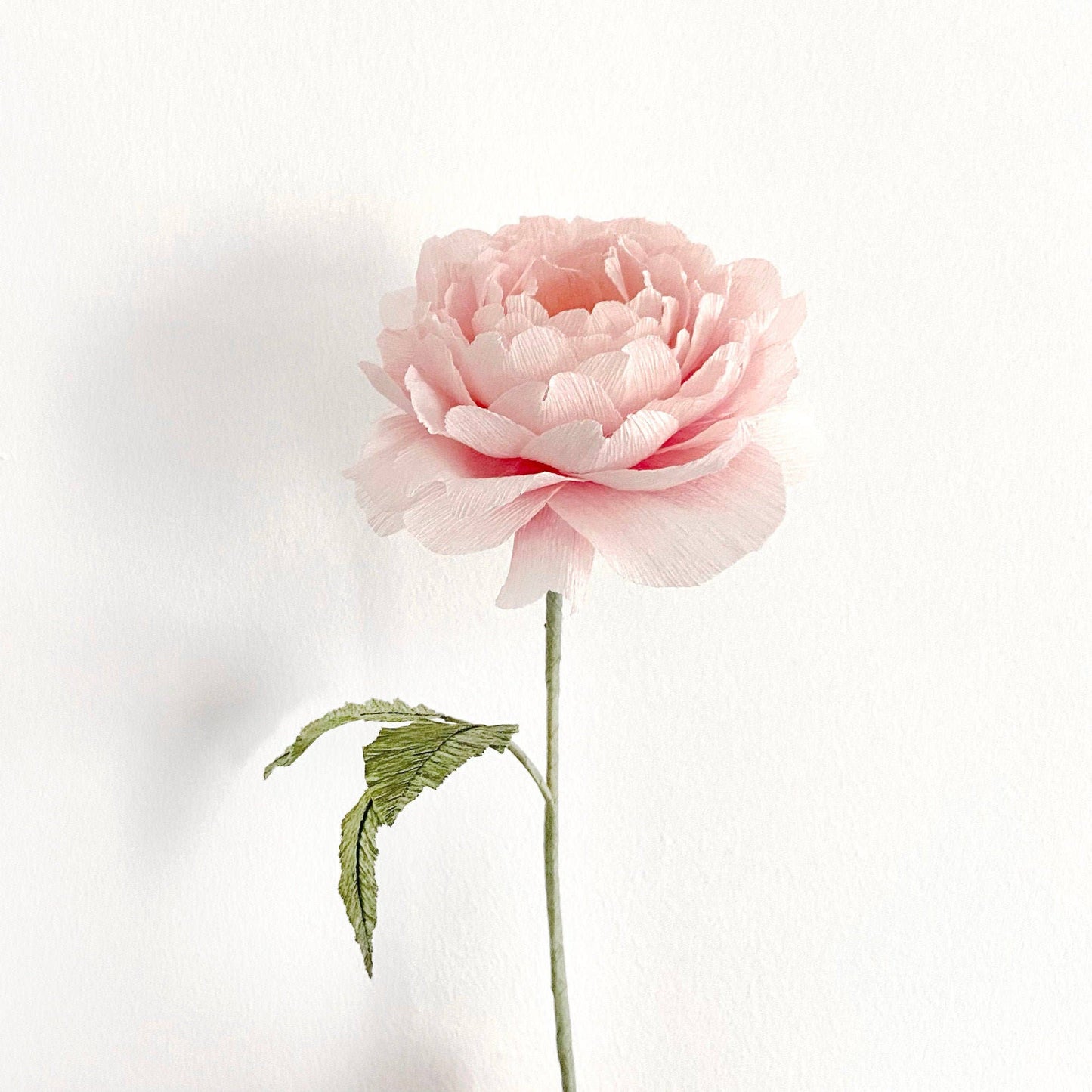 Make Your Own Crepe Paper English Rose - Scepter'd