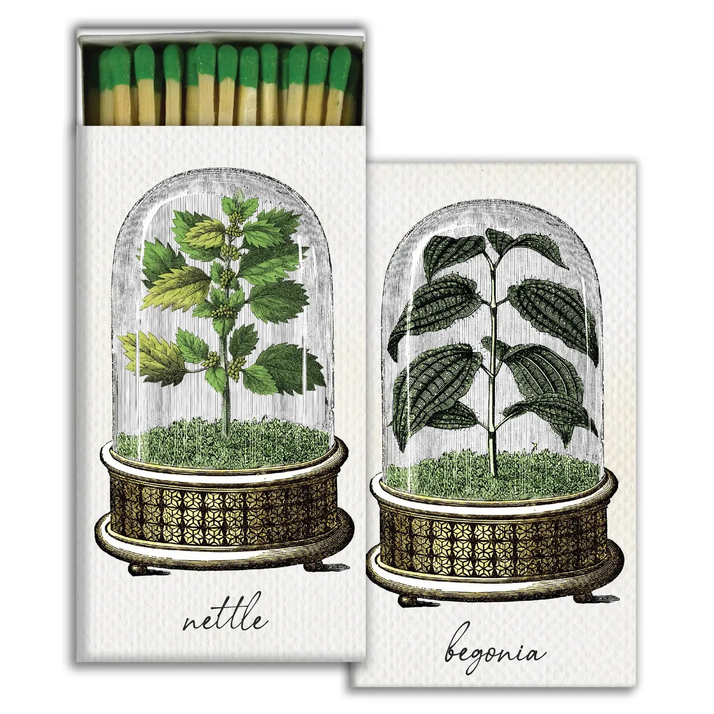 Match Box - Cloche