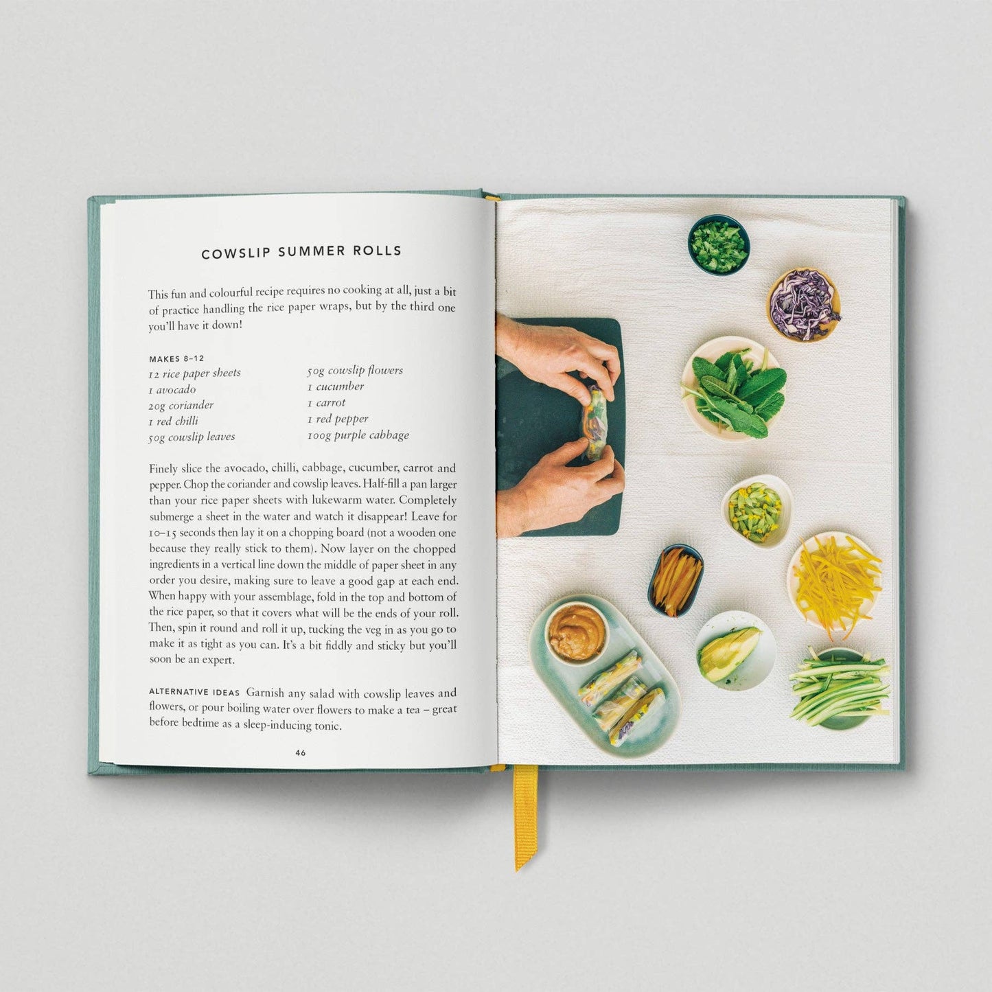 The Urban Forager: Find and Cook Wild Food in the City