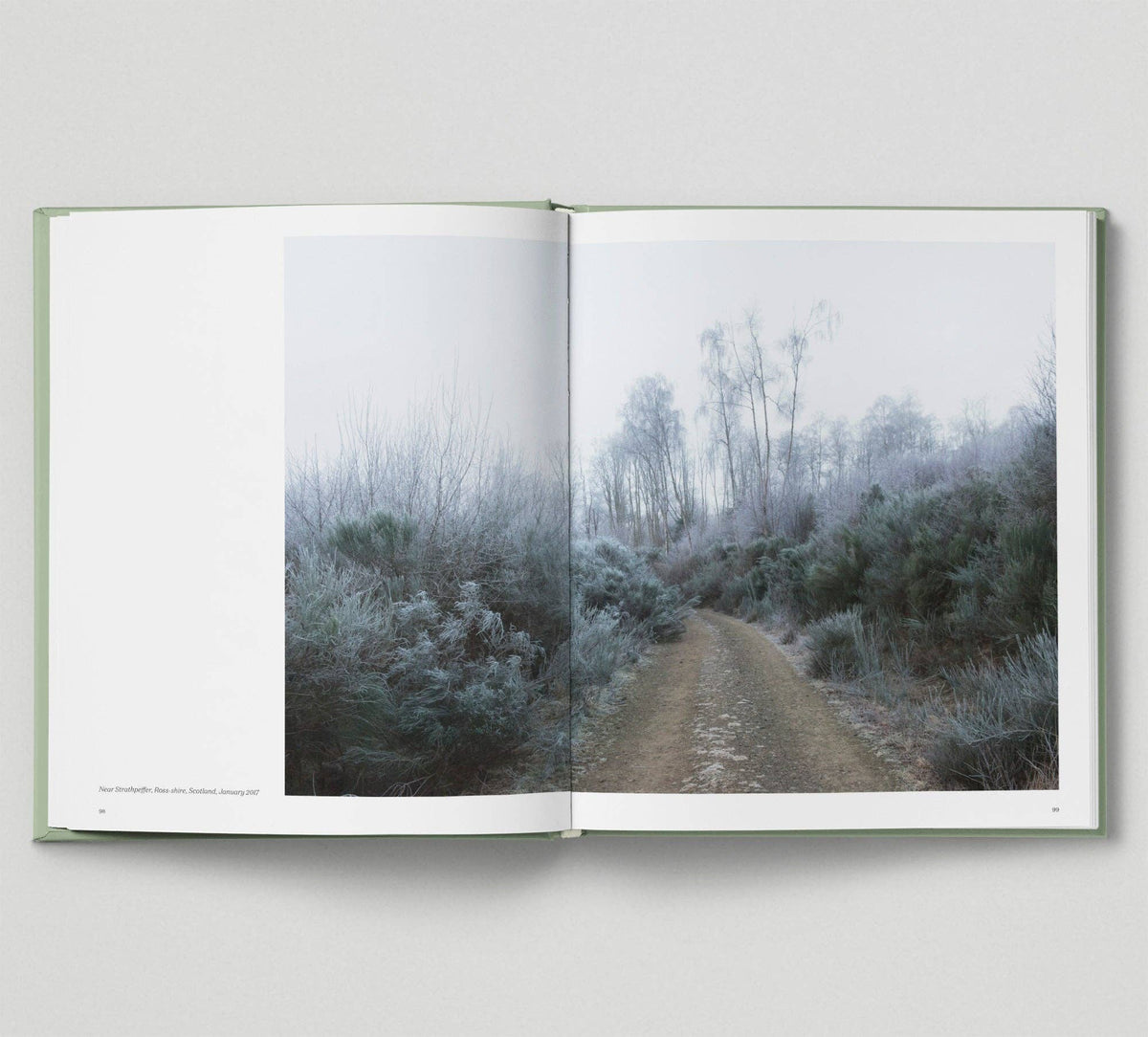 This Pleasant Land: New Photography of the British Landscape