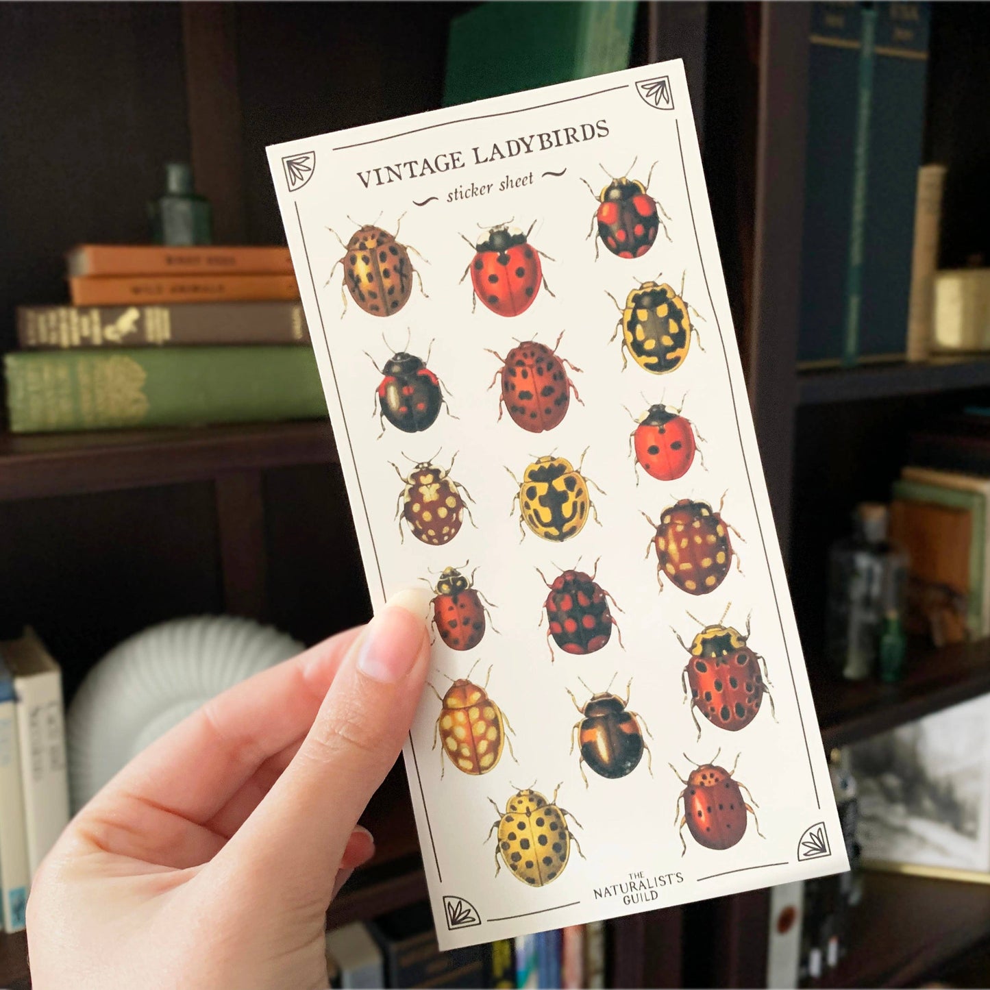 Vintage Ladybirds Sticker Sheet