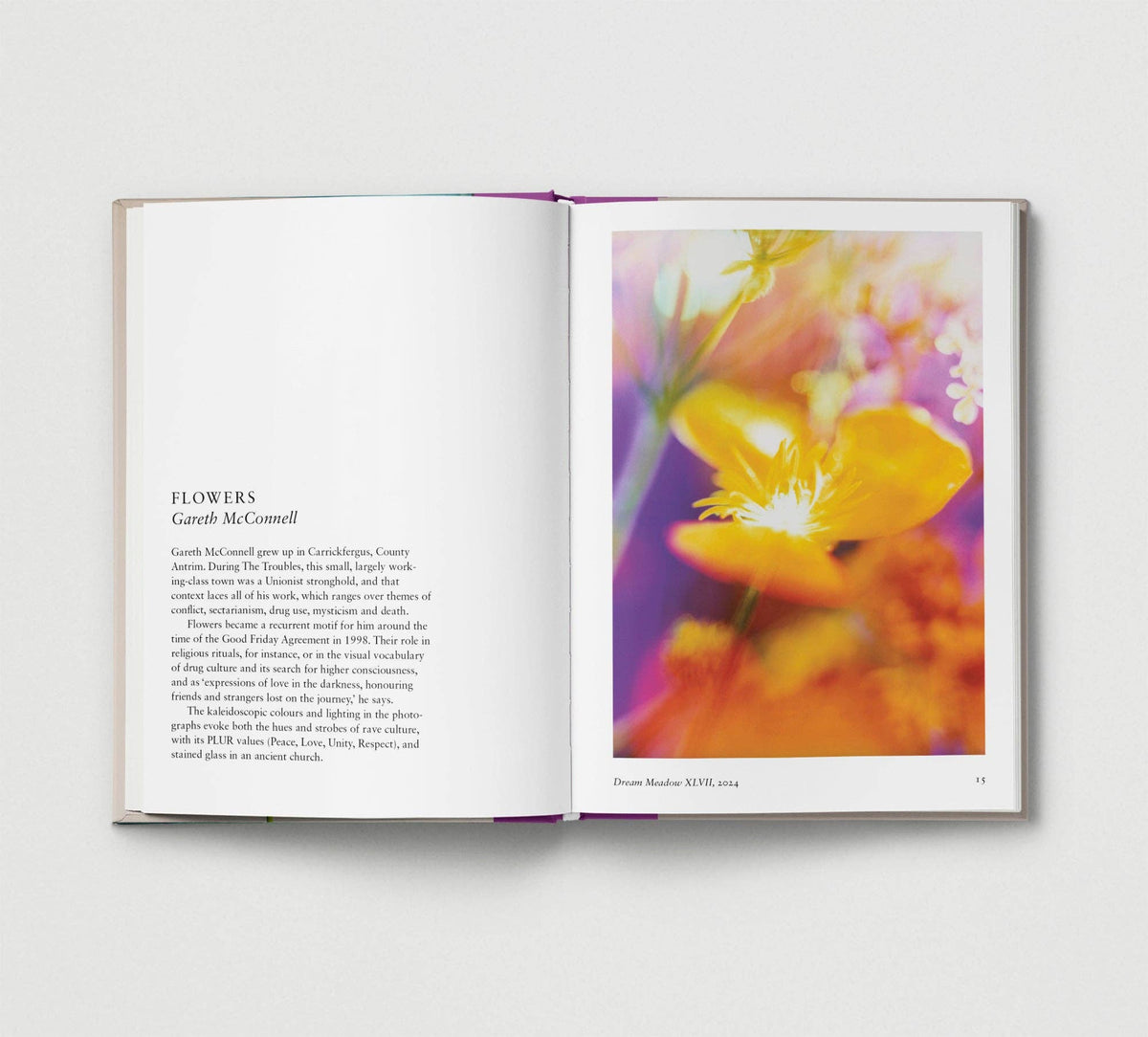 New photography of the Flower