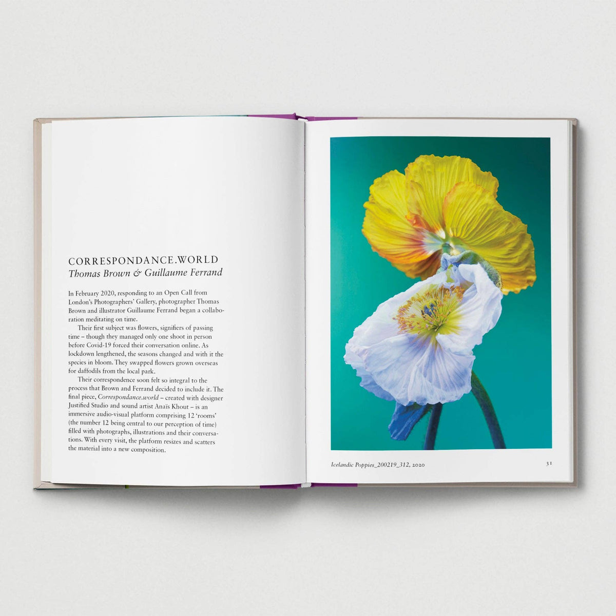 New photography of the Flower