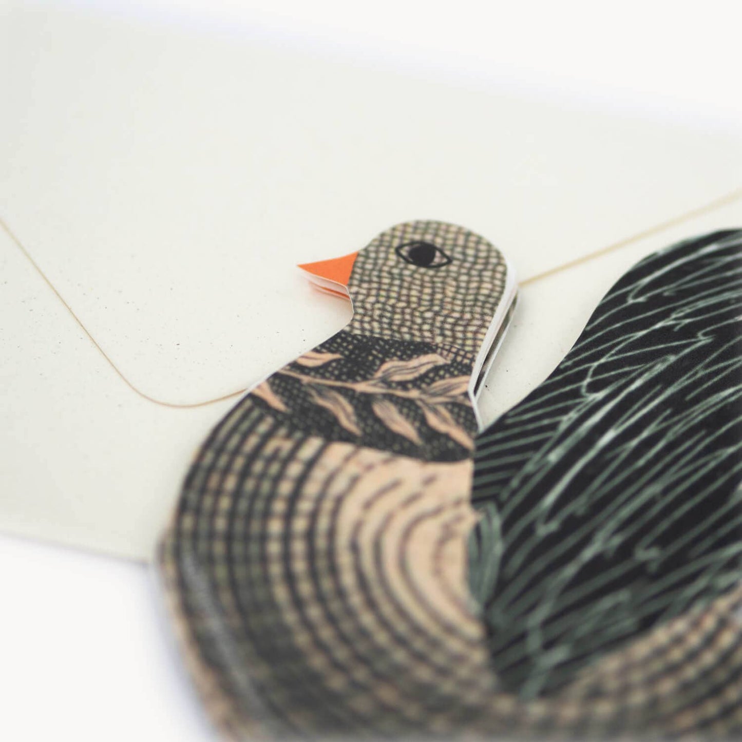 Chickens Concertina Card