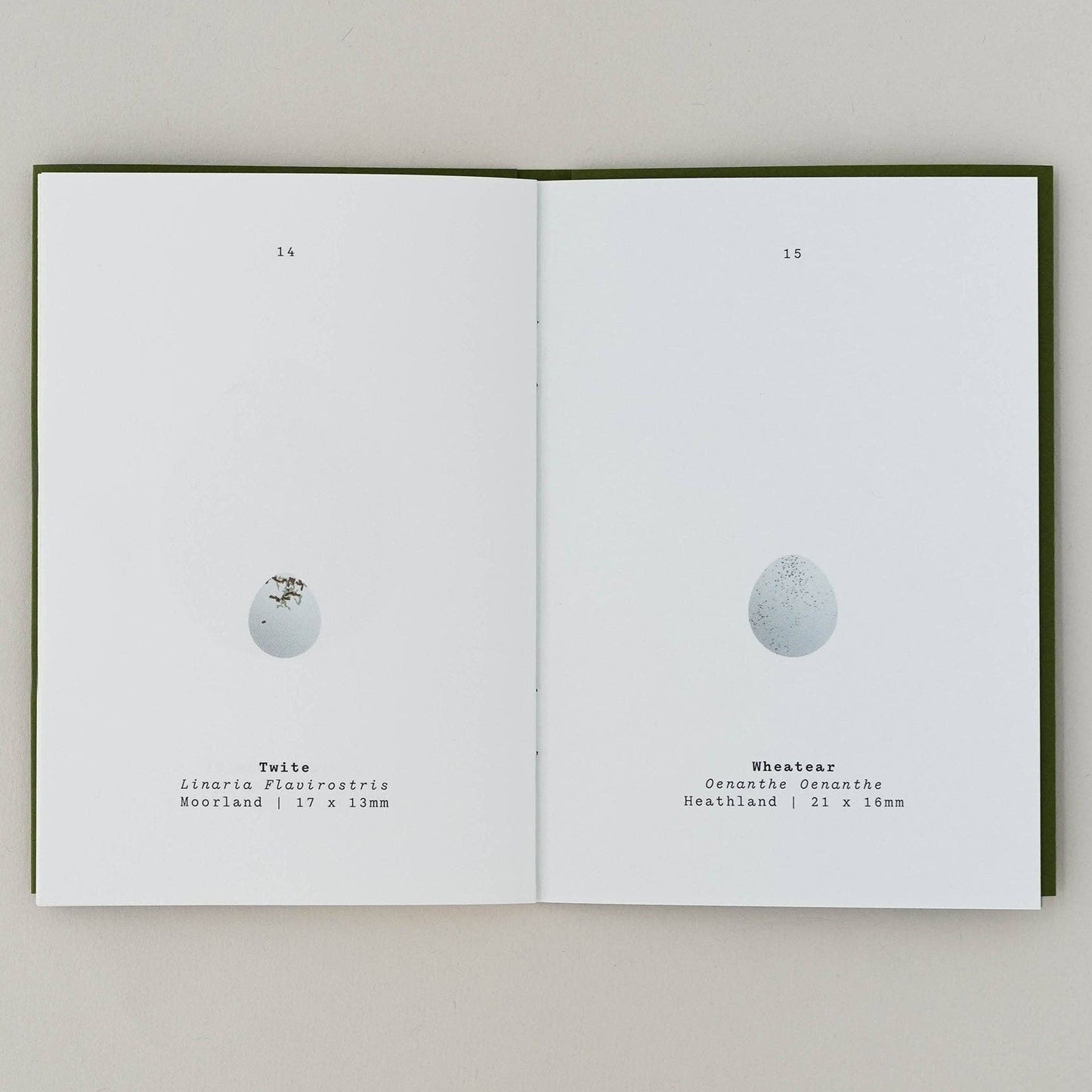 Bird Egg Book
