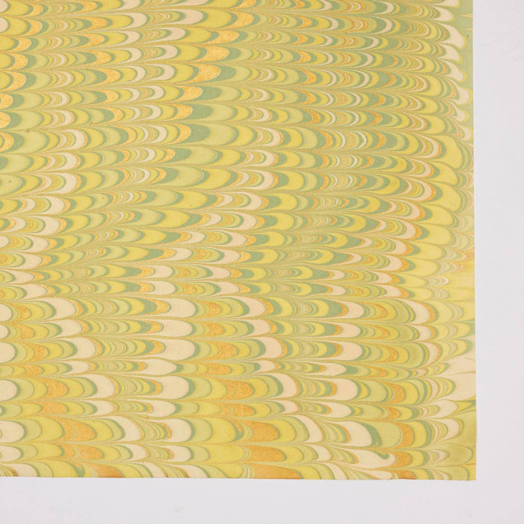 Hand Marbled Wrapping Paper - Scallops Daffodil