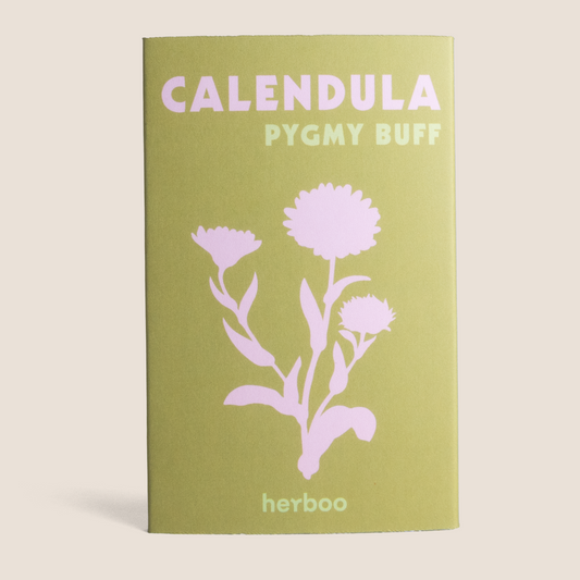 Calendula 'Pygmy Buff' Seeds