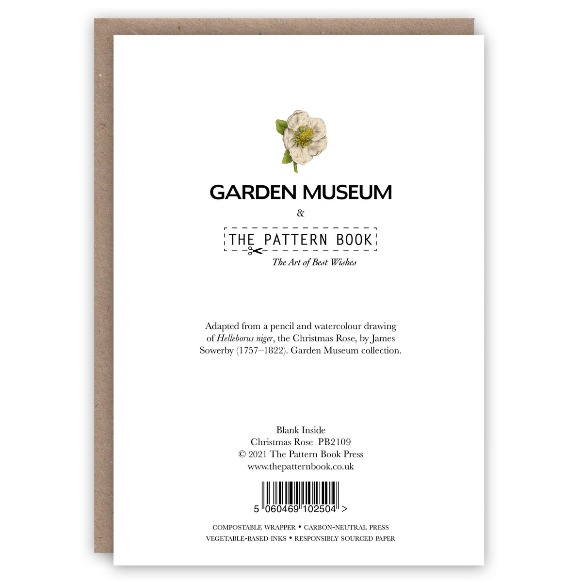 Christmas Rose Greeting Card