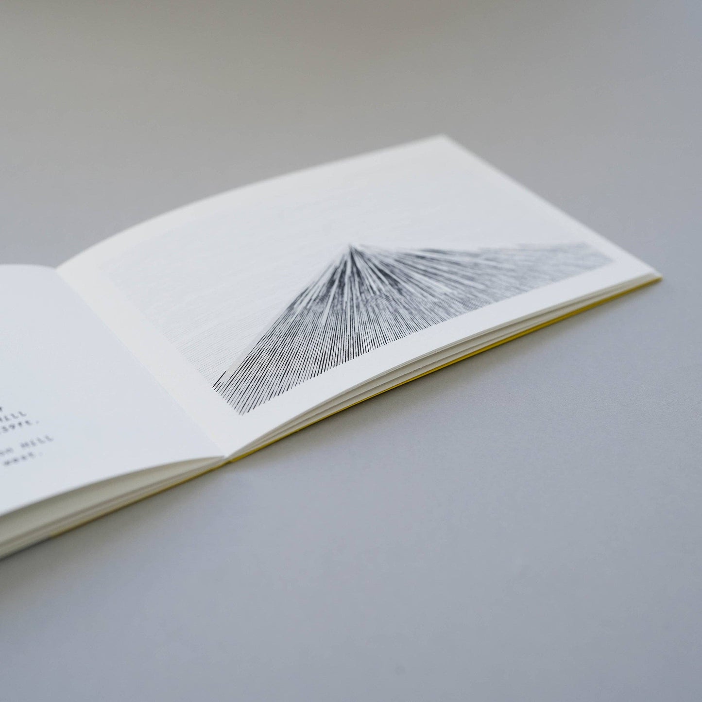 Mountain Book