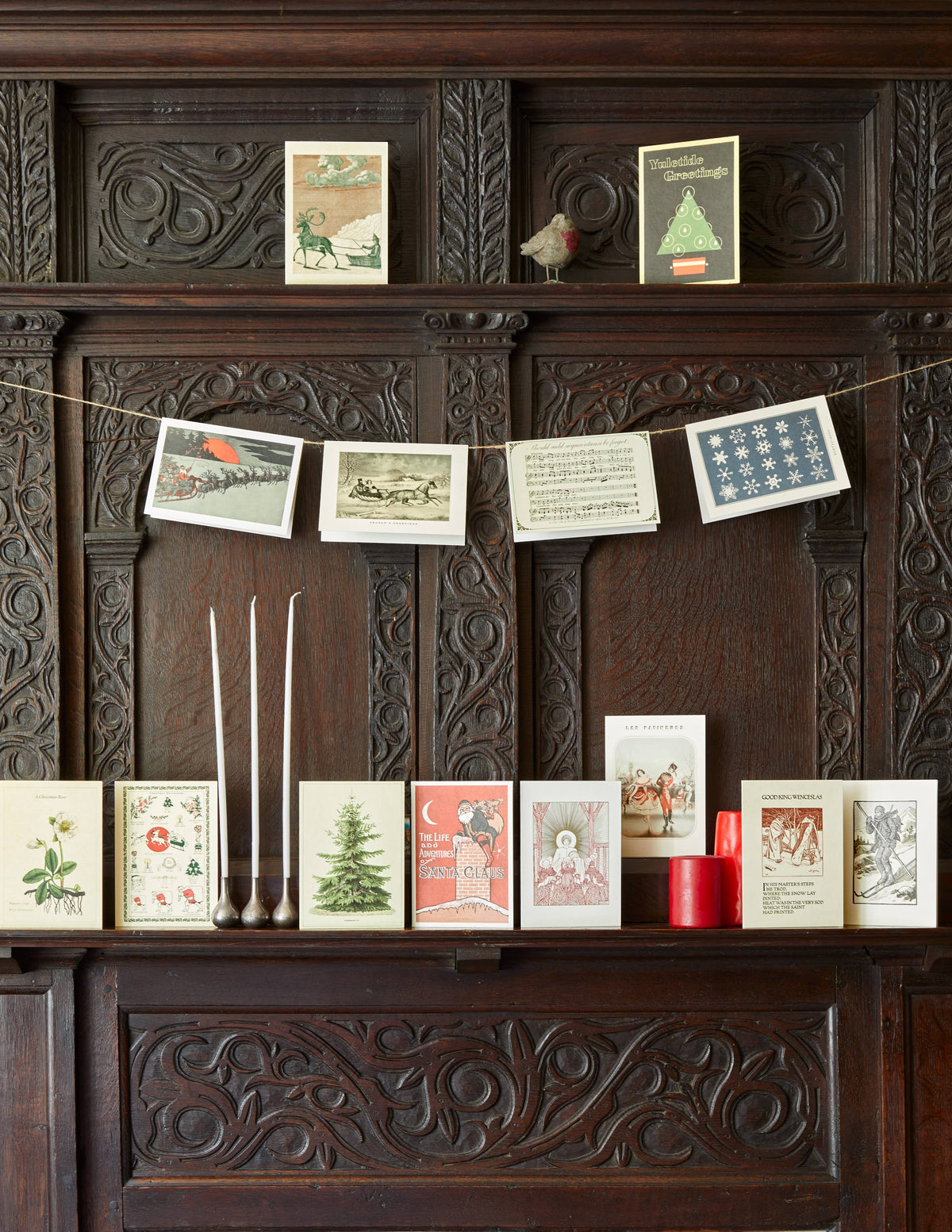 Nordmann Fir Christmas Card