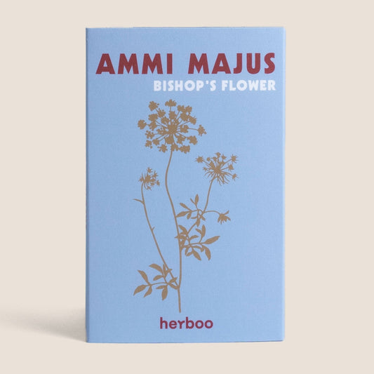 Ammi Majus Seeds