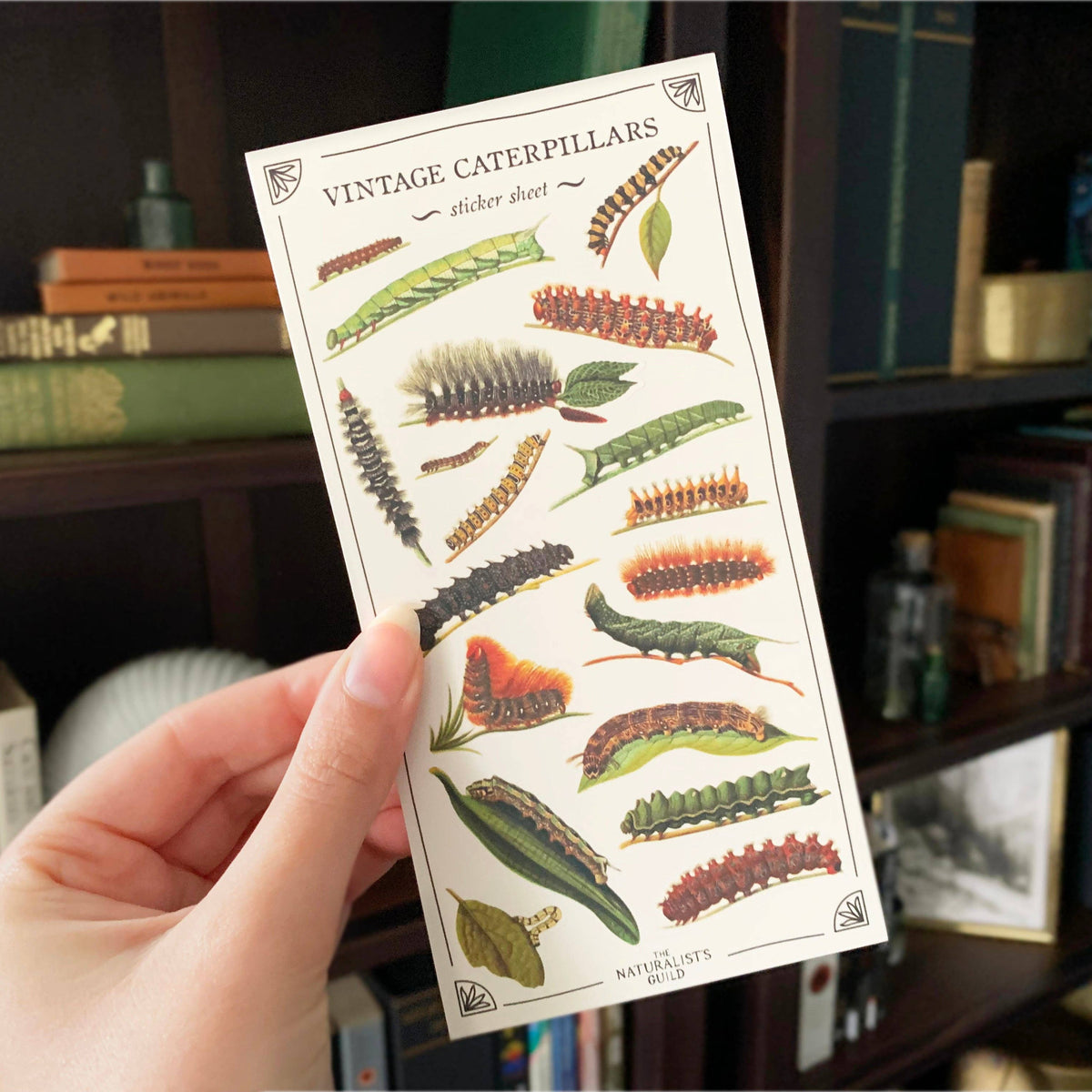 Vintage Caterpillars Sticker Sheet