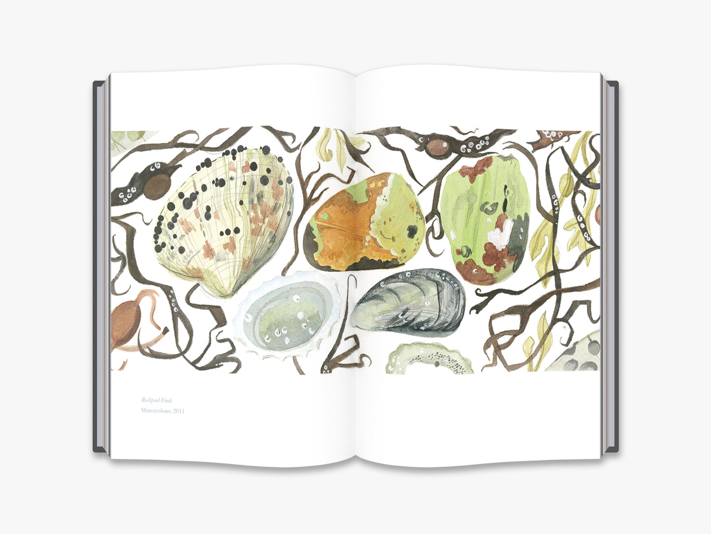 The Book Of Pebbles