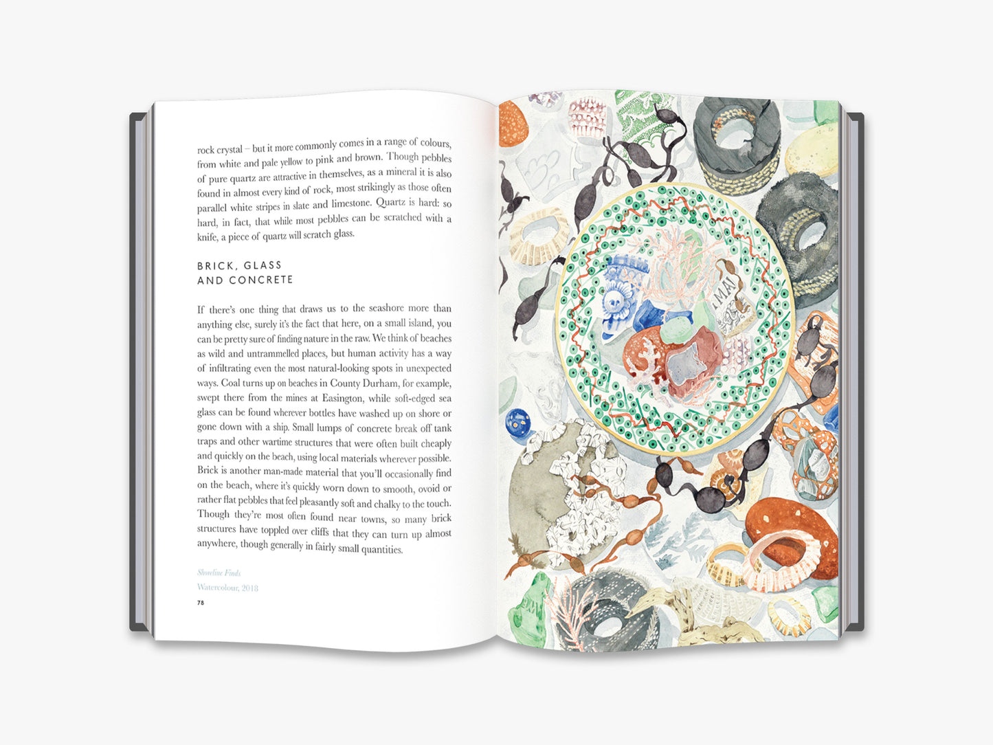 The Book Of Pebbles