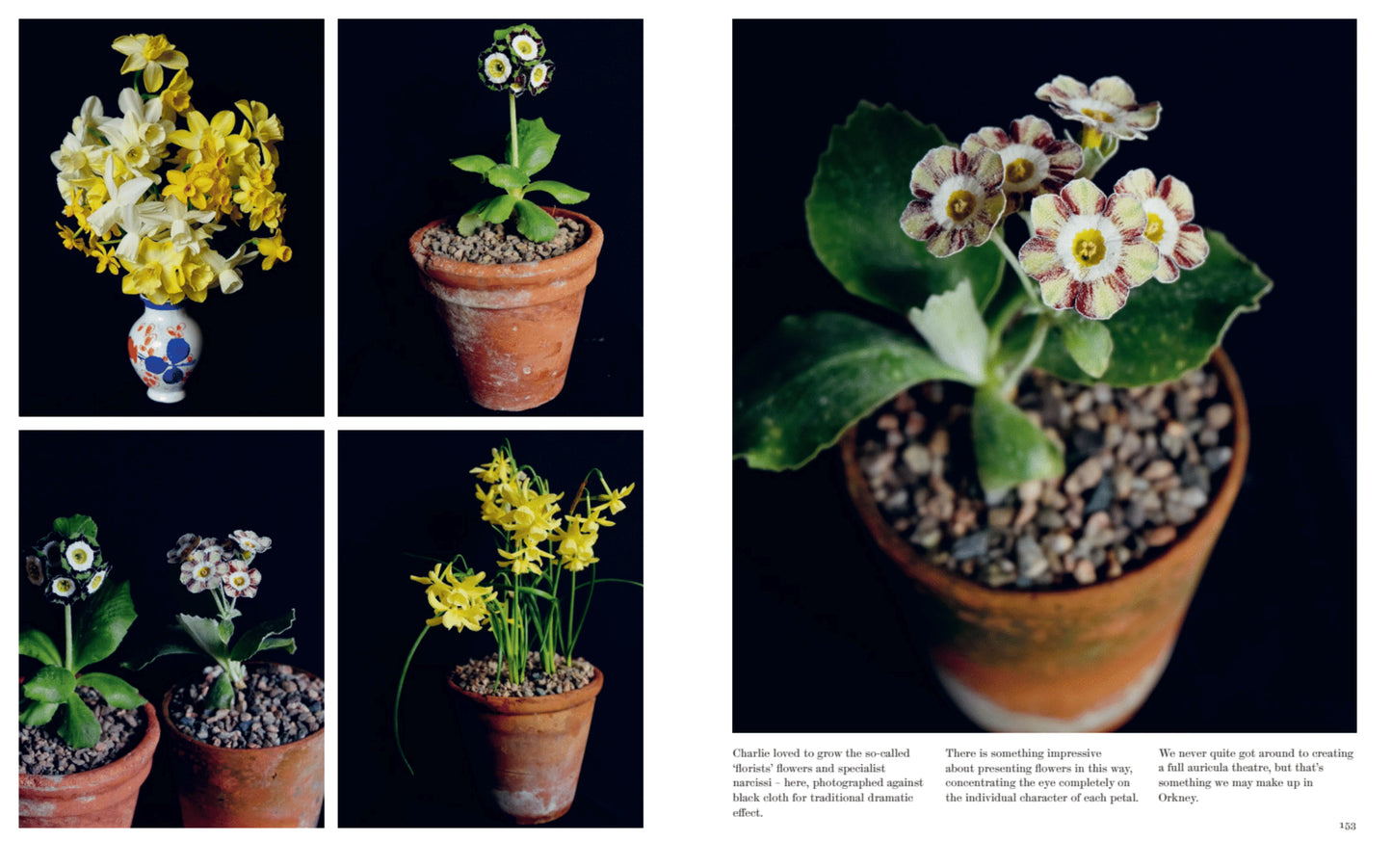 PRE-ORDER: A Year at the Parsonage: The Story of a House & Garden