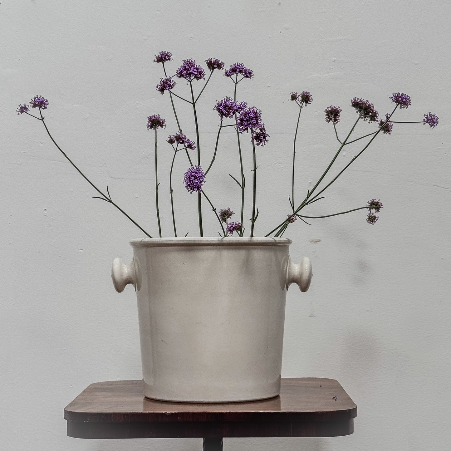 An Edwardian Ironstone Slop Bucket