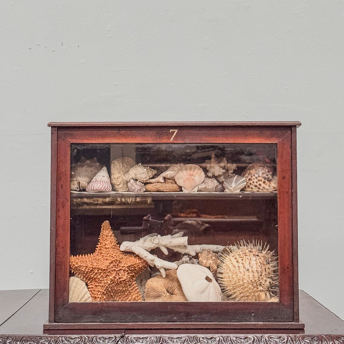 A Late 19th Century Mahogany Display Cabinet