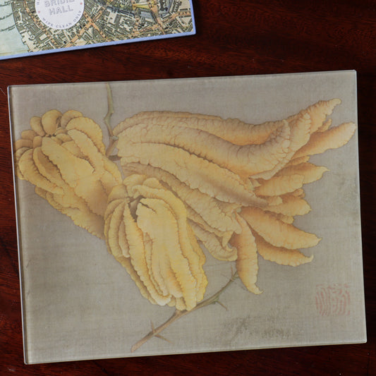 8" x 10" Buddha's Hand Citron Decoupage Tray