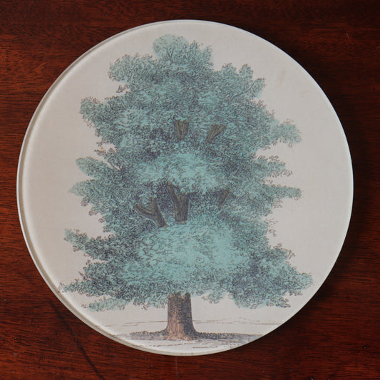 7" Round Chestnut Tree Decoupage Tray