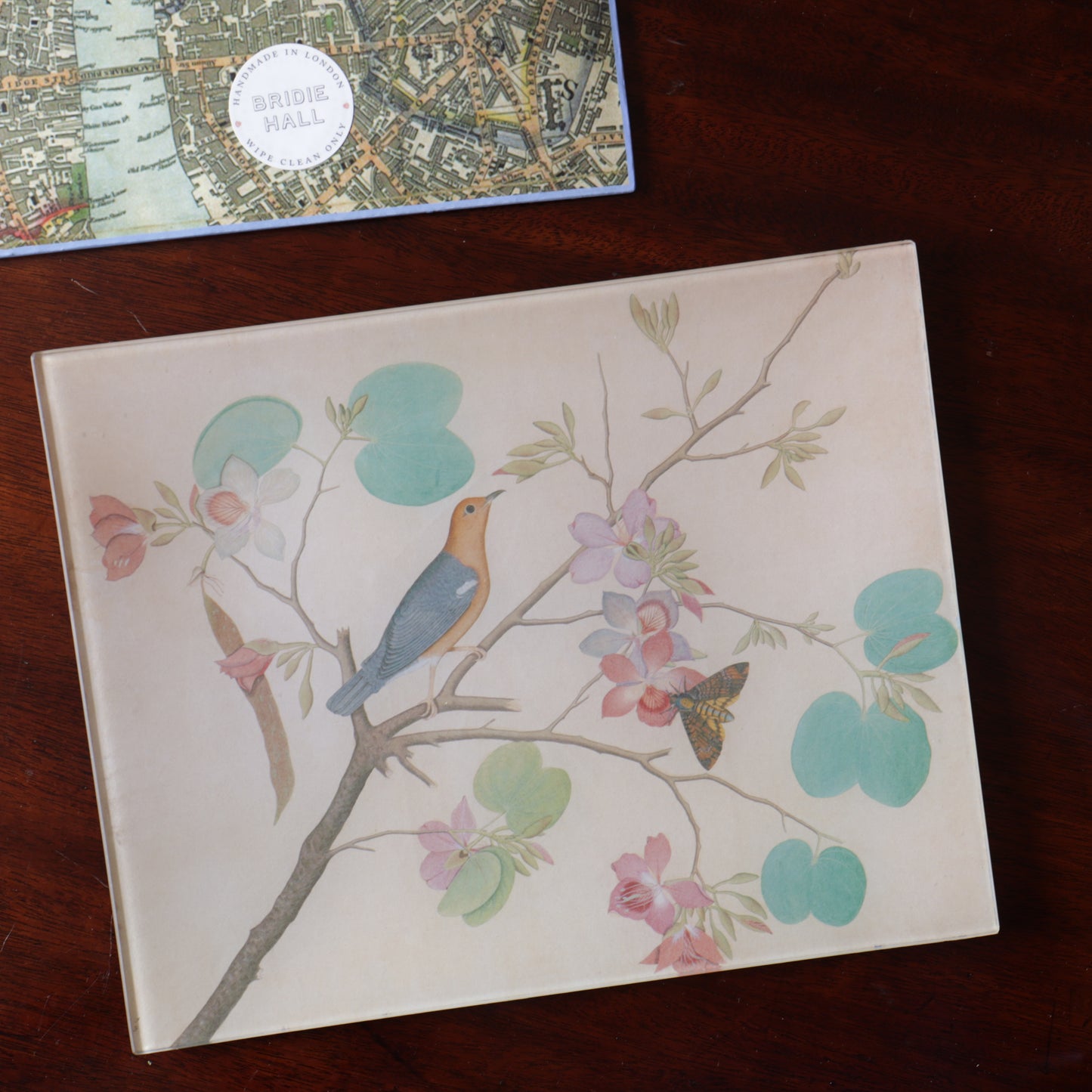 8" x 10" A Ground Thrush & A Death's-Head Moth On A Purple Ebony Orchid Branch Decoupage Tray
