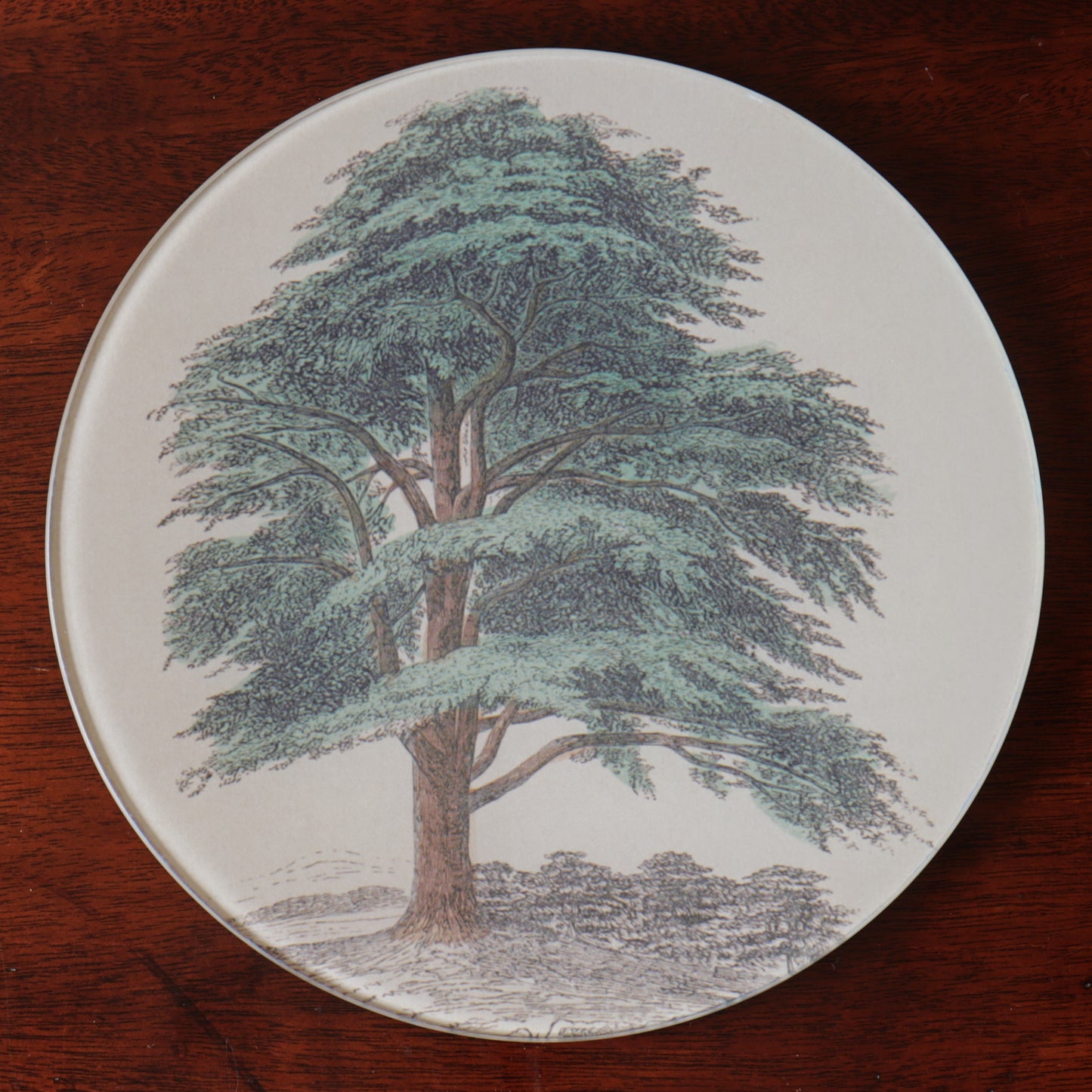 7" Round Cedar Tree Decoupage Tray