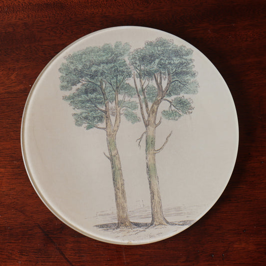 7" Round Pine Tree Decoupage Tray