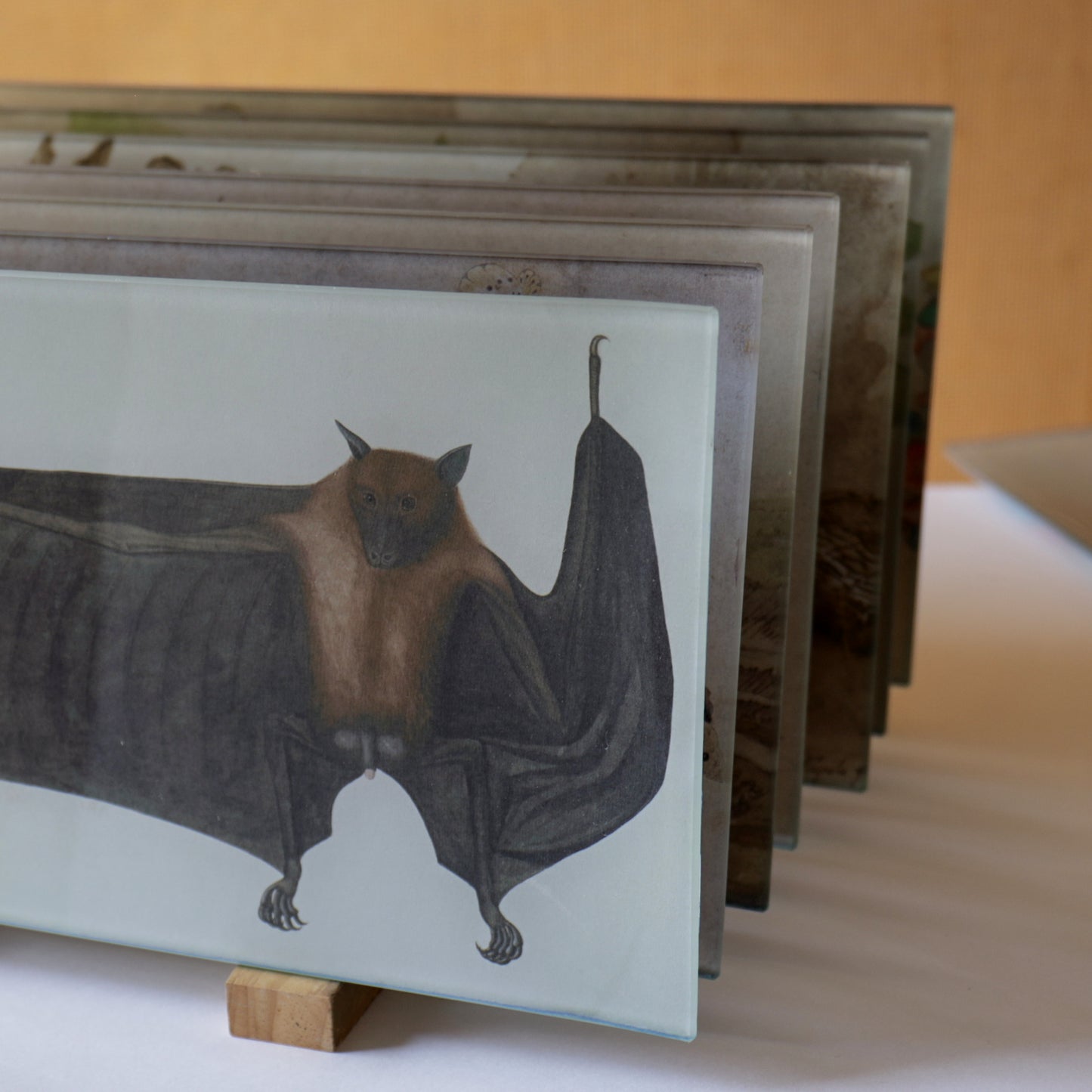 6" x 12" Great Indian Fruit Bat Decoupage Tray