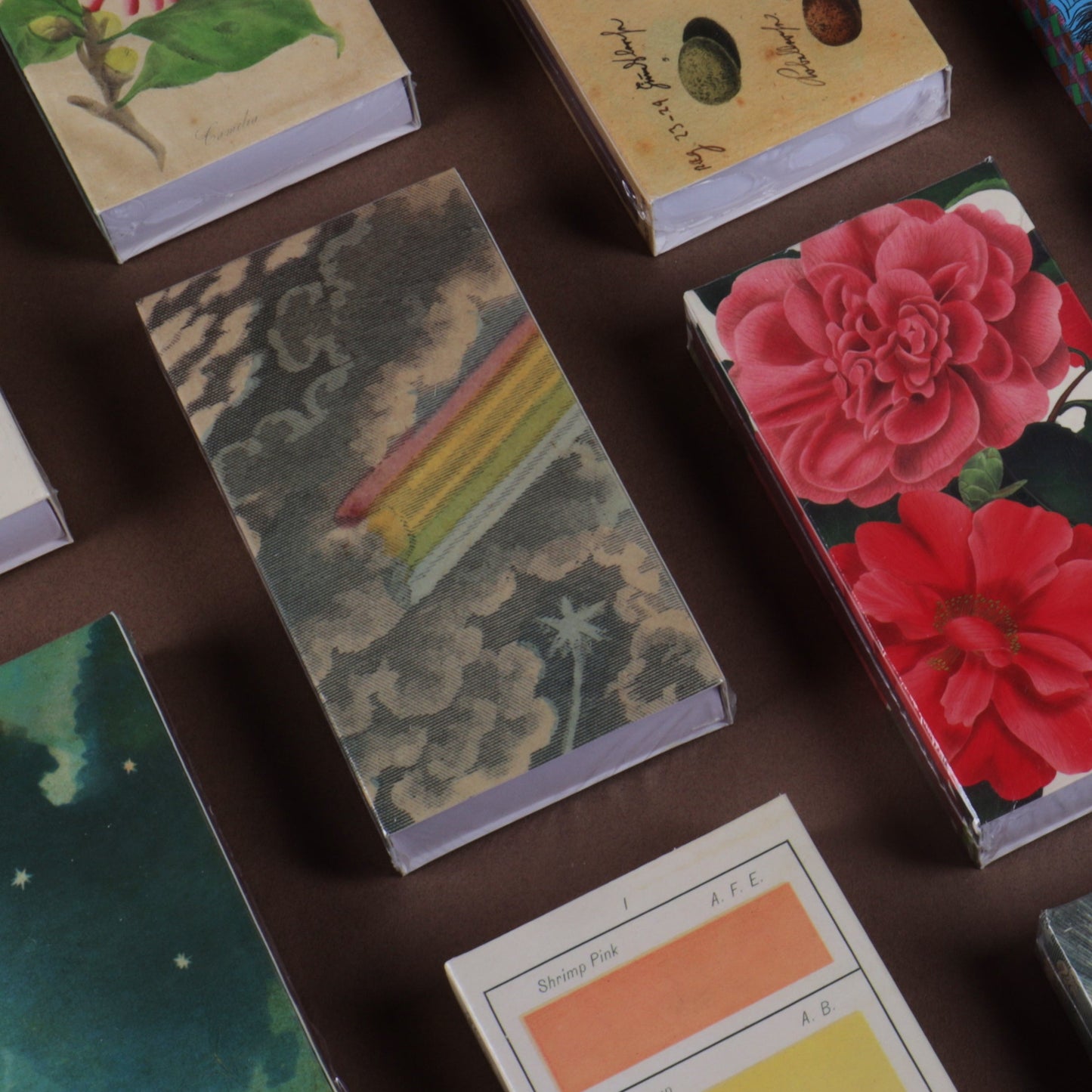 Match Box - Mollusks, Coral, Seastars