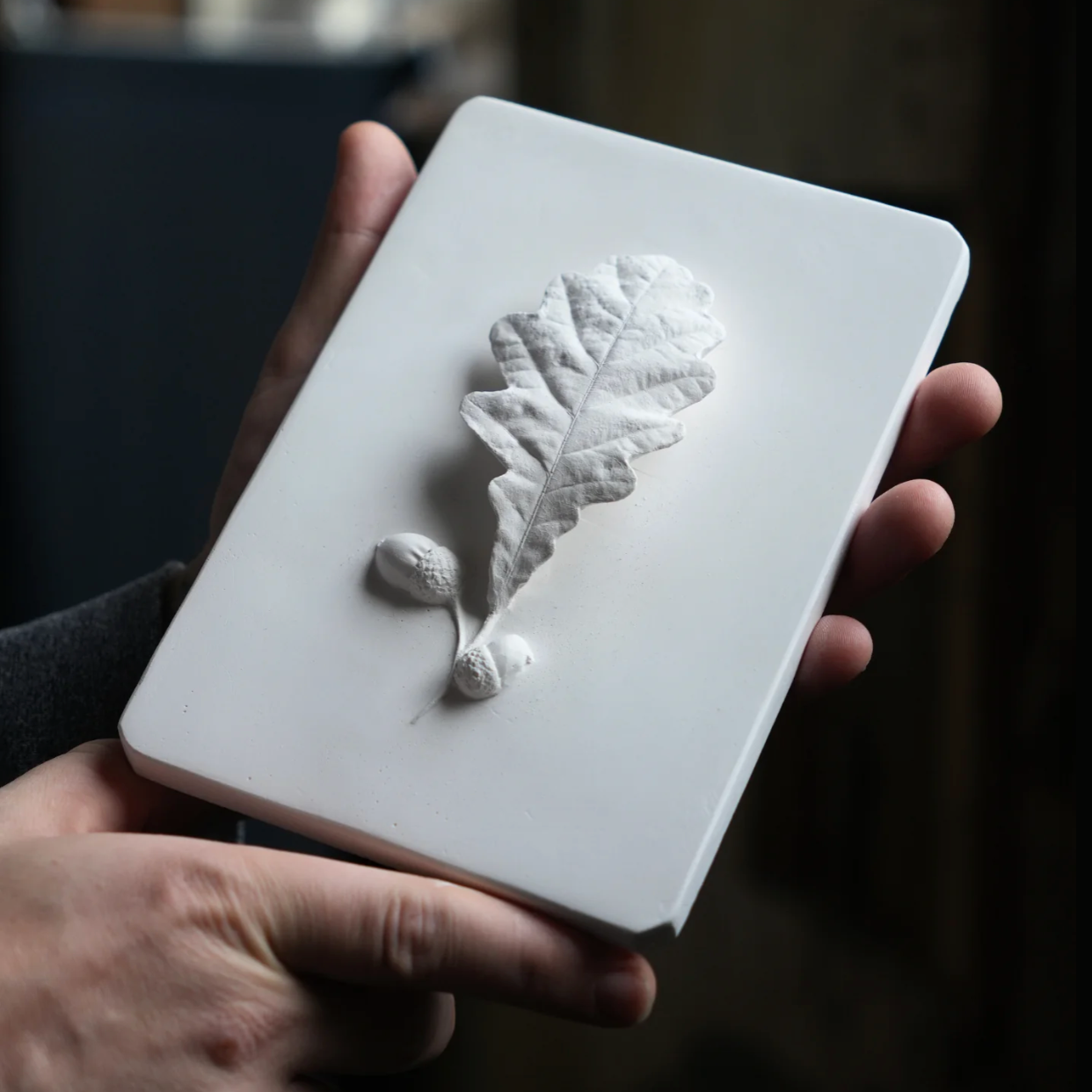 Oak Leaf Relief