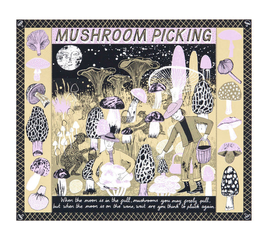 Mushroom Picking