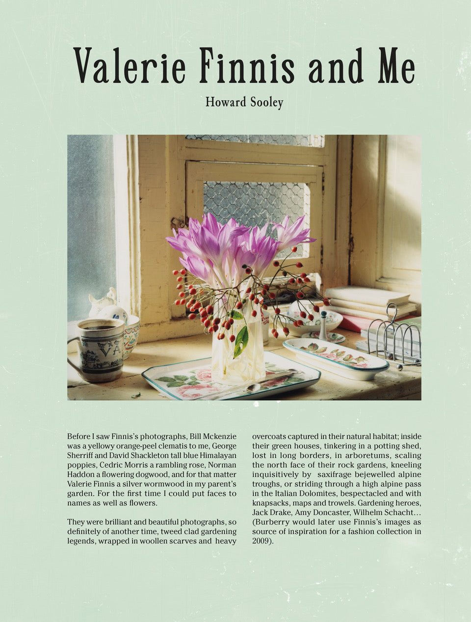PRE-ORDER: The Bible of British Taste: Issue no. 5