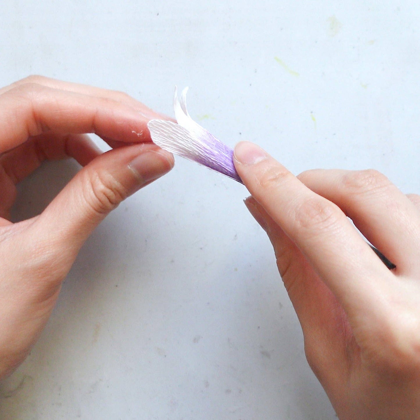 Make Your Own Crepe Paper Foxglove Kit