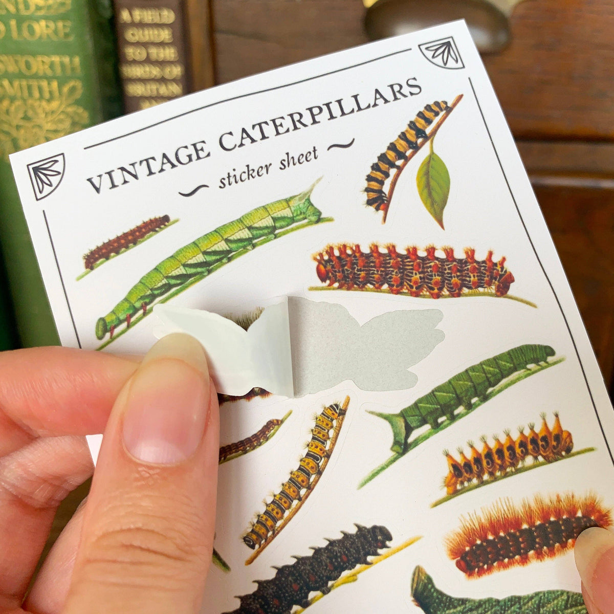 Vintage Caterpillars Sticker Sheet