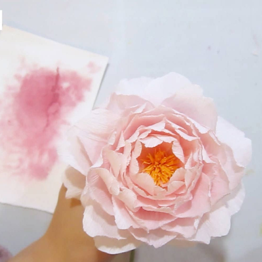 Make Your Own Crepe Paper English Rose - Scepter'd