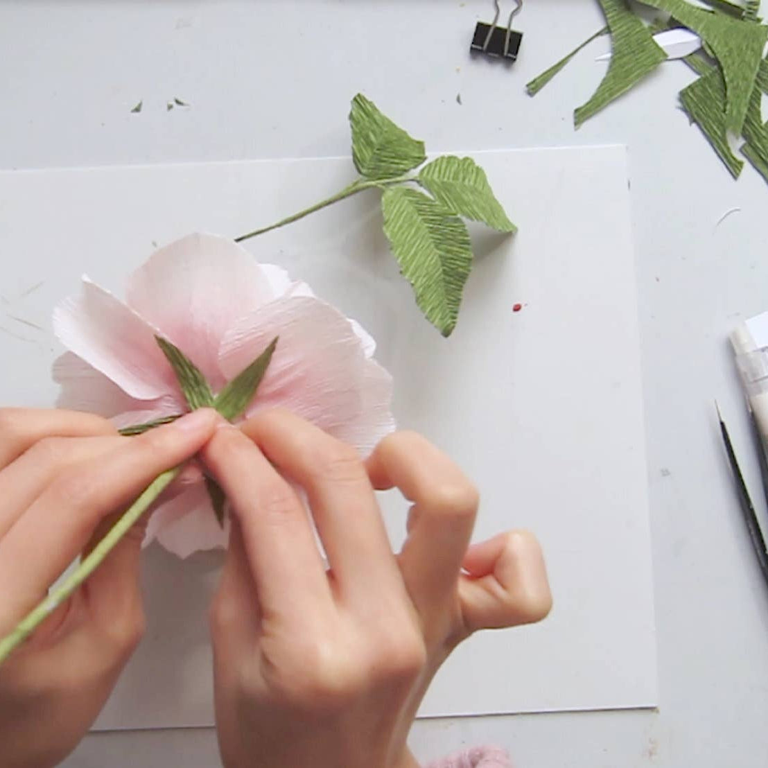 Make Your Own Crepe Paper English Rose - Scepter'd