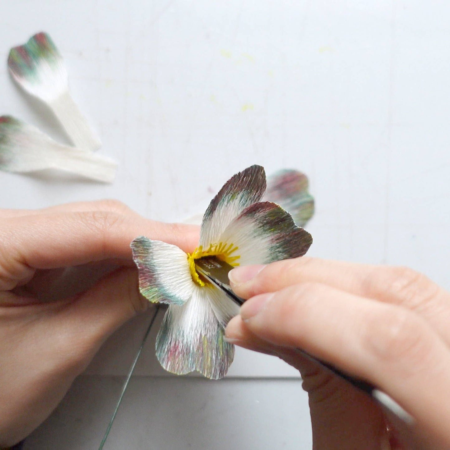 Make Your Own Crepe Paper Primula Flower
