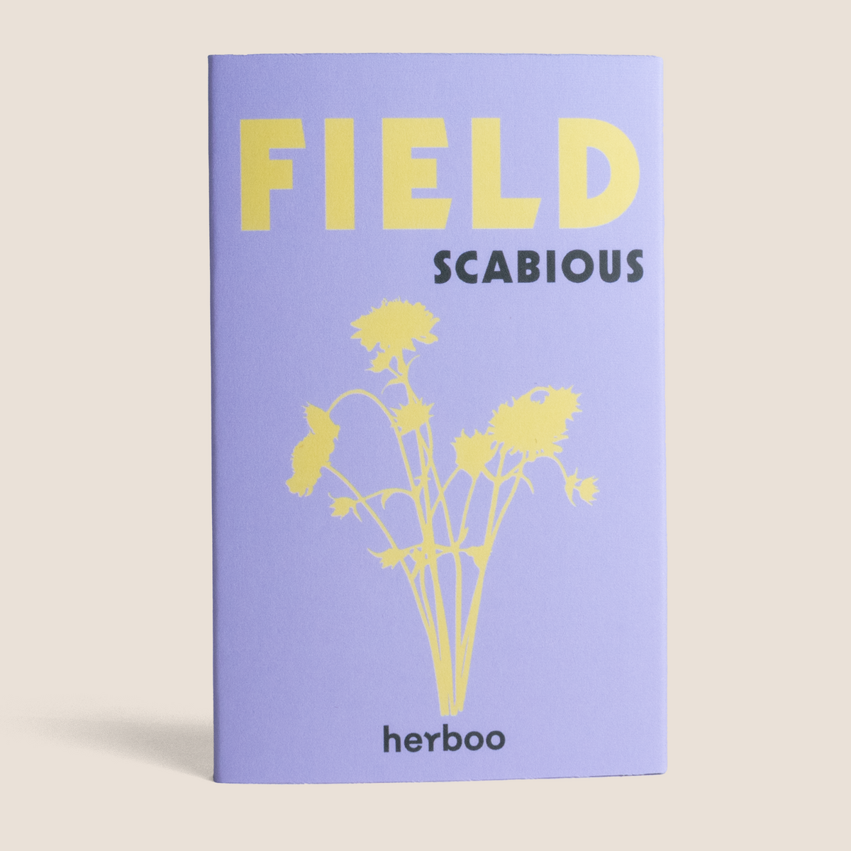 Scabious 'Field' Seeds