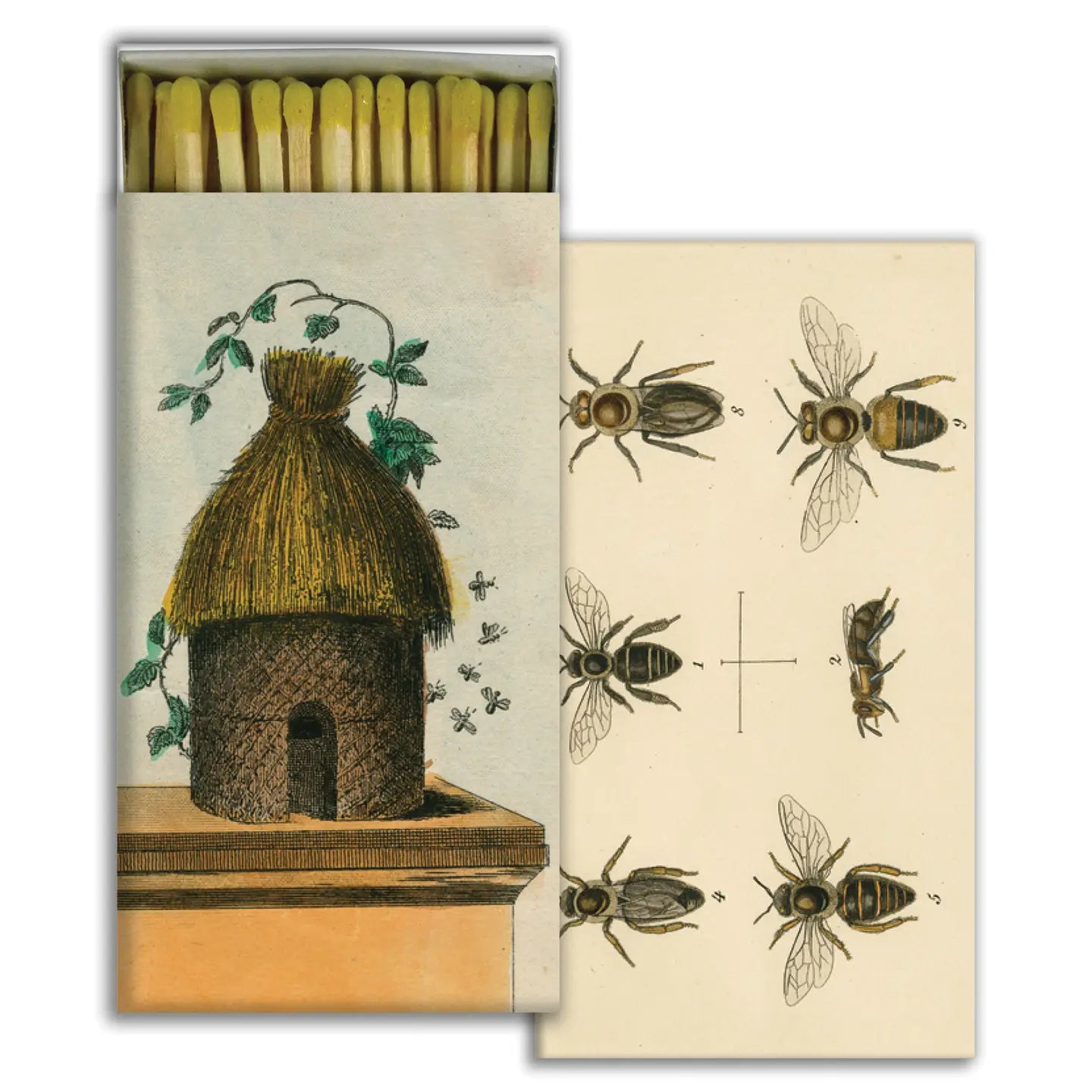 Match Box - Hive & Six Bees