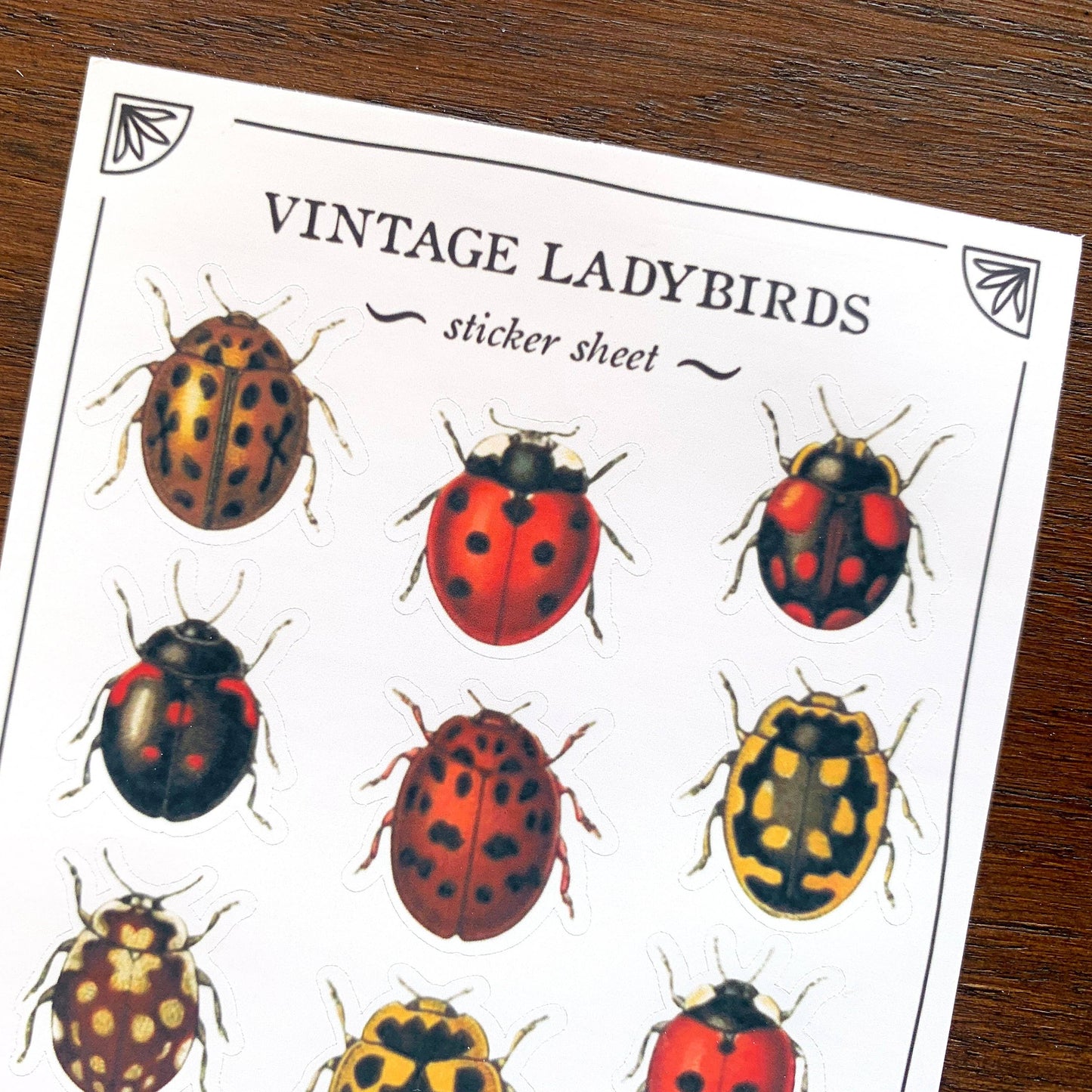 Vintage Ladybirds Sticker Sheet