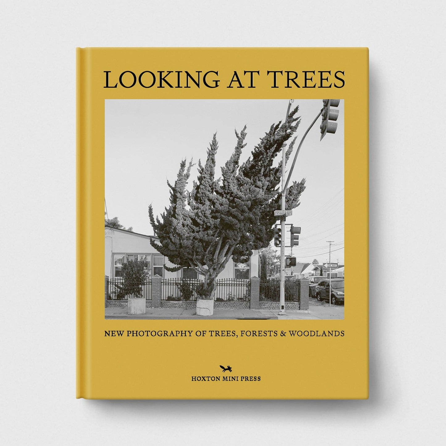 Looking at Trees