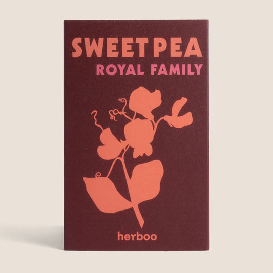 Sweet Pea 'Royal Family' Seeds