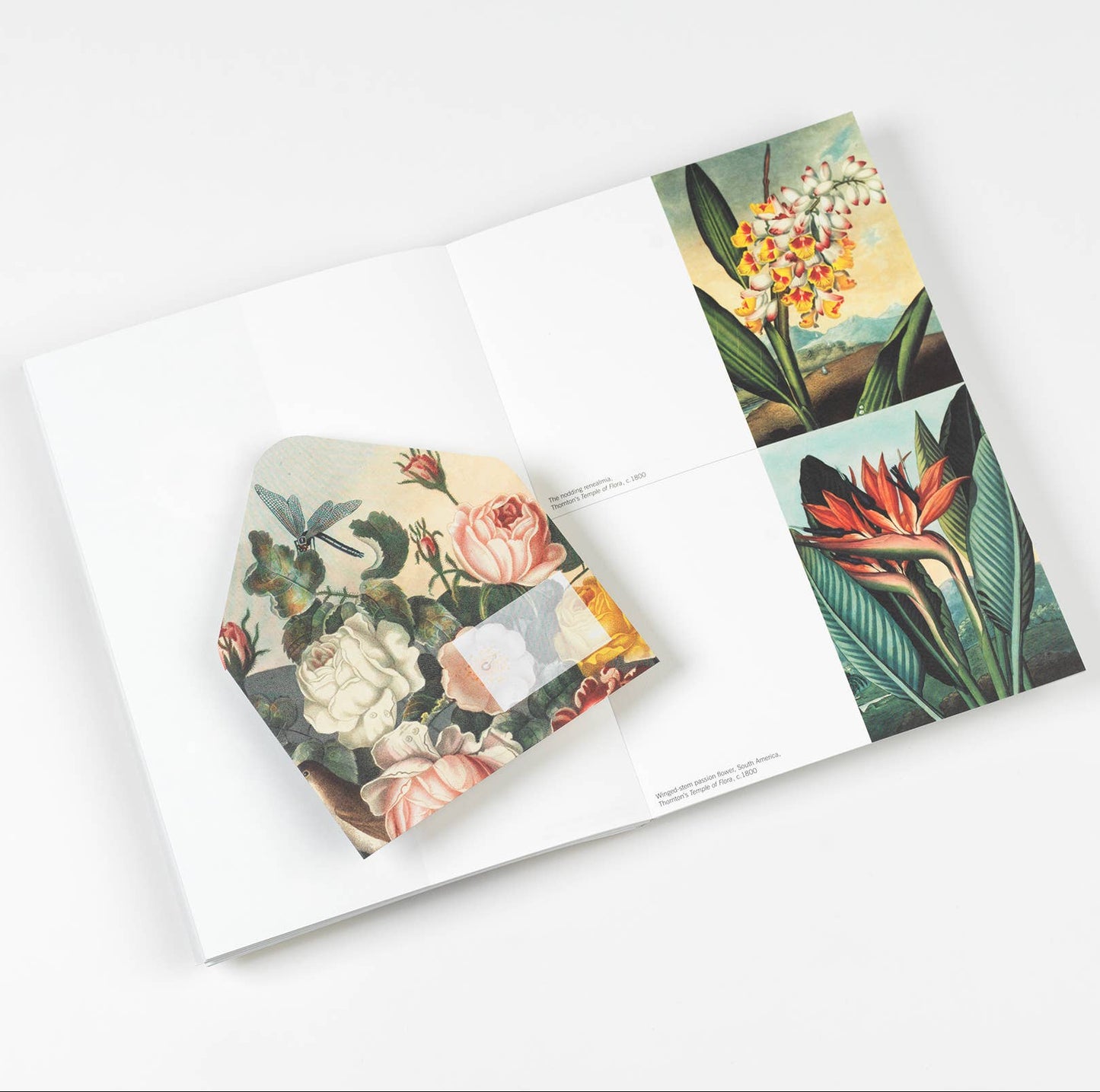 Flowers Creative Paper Book
