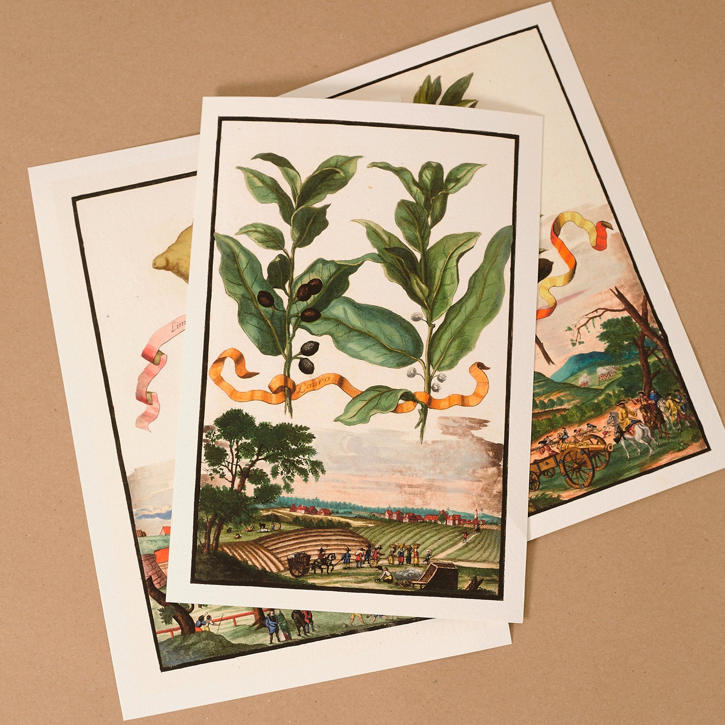 Datura Egyptia Giclée Print