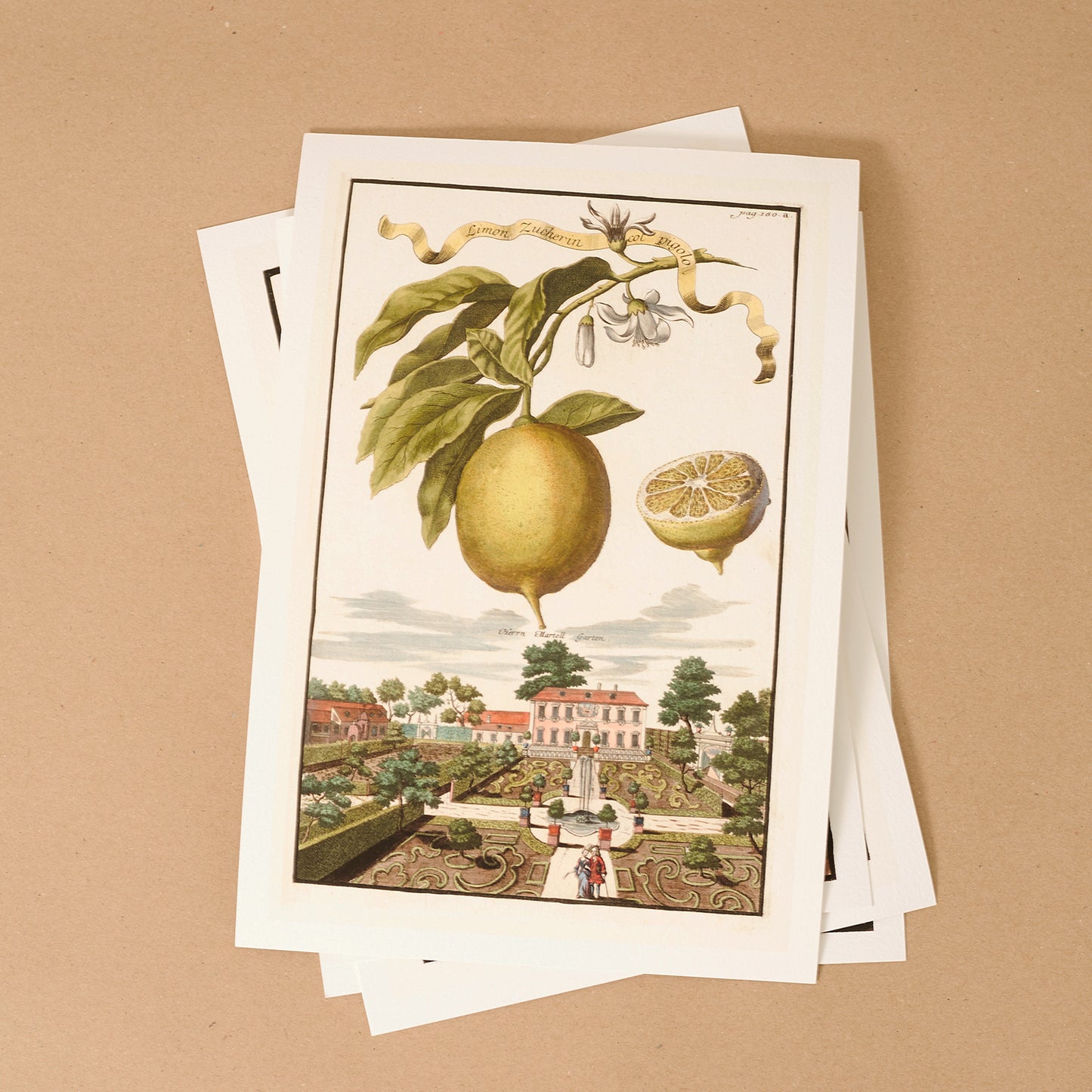 Aranzo Cornuto Incanellato Giclée Print